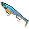 Воблер RAPALA X-Rap Peto XRPT14-BGH